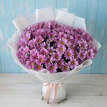 Букет цветов из:  Хризантемы в Полтавском