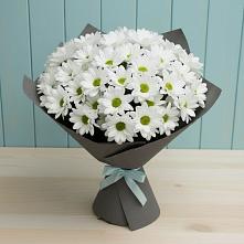 Букет цветов из:  Хризантемы #REPLACE_PRED# Полтавском