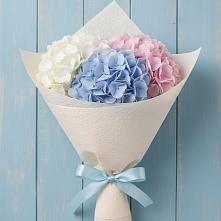 Букет цветов из:  Гортензия в Полтавском