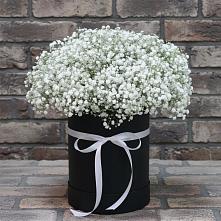 Цветочная композиция из Гипсофила в шляпной коробке в Полтавском