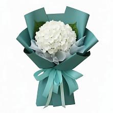 Букет цветов из:  Гортензия #REPLACE_PRED# Полтавском